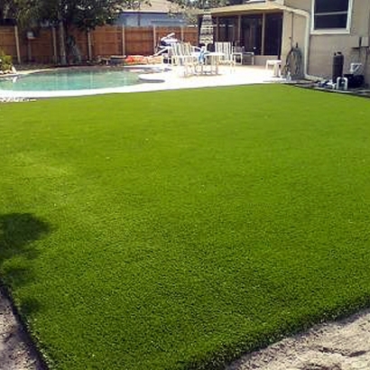 Artificial Turf Cost Buckingham, Florida Paver Patio, Backyard Ideas