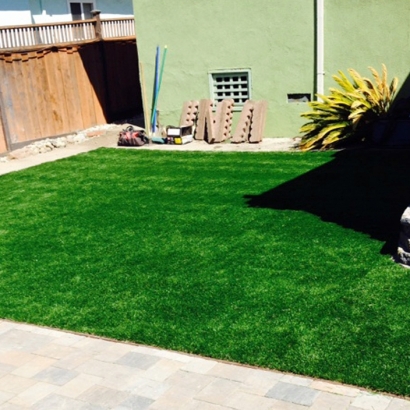 Artificial Turf Cost Englewood, Florida Artificial Turf For Dogs, Backyard Makeover