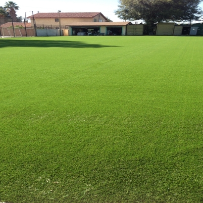 Artificial Turf Cost Goulds, Florida Roof Top, Parks