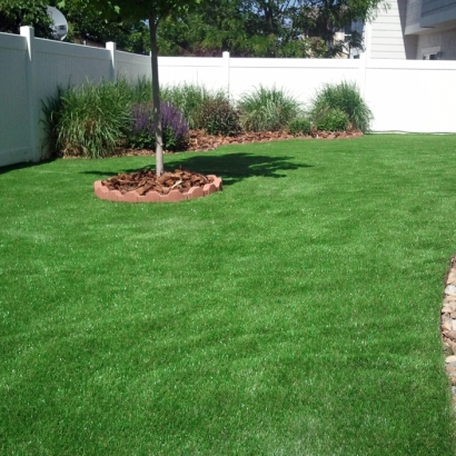 Artificial Turf Cost Olympia Heights, Florida Gardeners, Backyard Garden Ideas