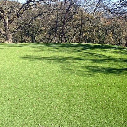 Artificial Turf Installation Bonita Springs, Florida Landscape Ideas, Parks