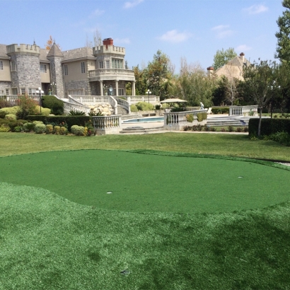Artificial Turf Kendall, Florida Lawns, Front Yard