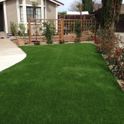 Artificial Turf Lake Placid, Florida Landscaping Business, Front Yard Landscaping