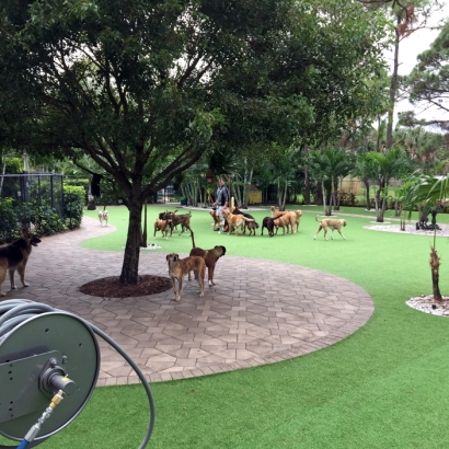 Artificial Turf Limestone Creek, Florida Lawns, Commercial Landscape