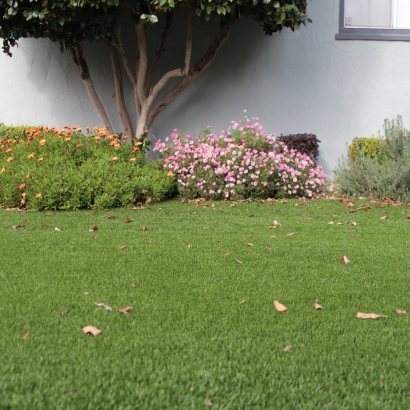 Best Artificial Grass Cypress Lake, Florida Lawn And Garden, Front Yard Landscaping