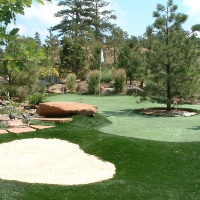 Best Artificial Grass South Beach, Florida Best Indoor Putting Green, Backyard Landscaping