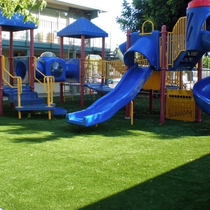 Fake Grass Carpet Glen Ridge, Florida Lawn And Garden, Commercial Landscape