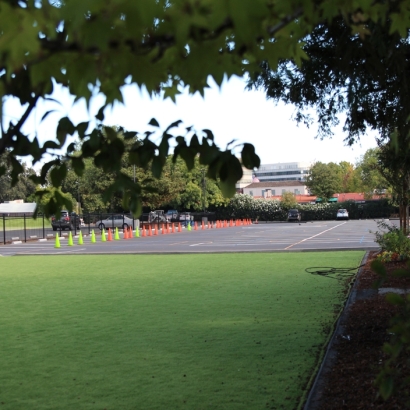 Fake Grass Carpet Page Park, Florida Sports Turf, Commercial Landscape