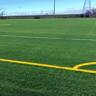 Fake Grass Carpet River Park, Florida Soccer Fields