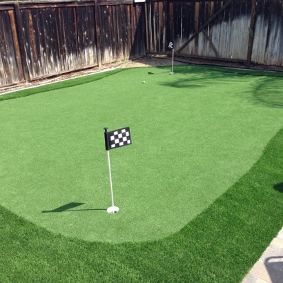 Fake Grass Palmetto Estates, Florida Putting Green Turf, Backyard Landscape Ideas