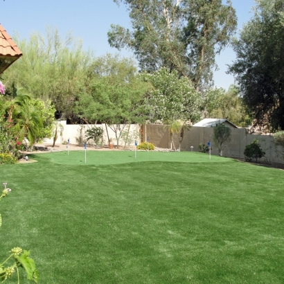 Fake Grass Tequesta, Florida Landscape Ideas, Backyard Ideas