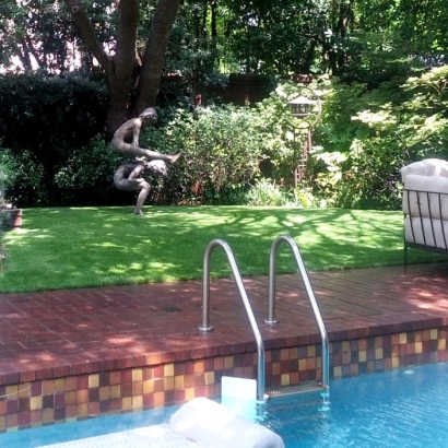 Fake Lawn Pinewood, Florida Home And Garden, Backyard Landscape Ideas