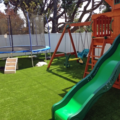 Fake Turf Alturas, Florida Upper Playground, Backyard Ideas