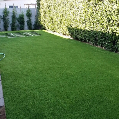 Fake Turf Highland City, Florida Rooftop, Backyard Makeover