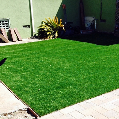 Fake Turf Lake Sarasota, Florida Rooftop, Backyard Design