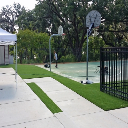 Fake Turf Stacey Street, Florida Landscaping, Commercial Landscape