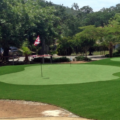 Faux Grass Moore Haven, Florida Paver Patio, Front Yard Ideas