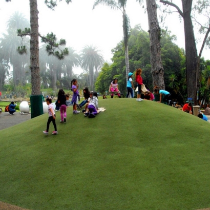 Faux Grass Naranja, Florida Landscape Ideas, Recreational Areas