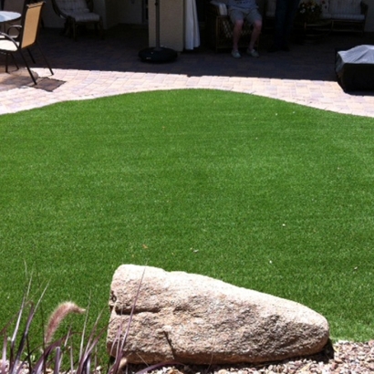 Faux Grass Pine Castle, Florida Pet Turf, Backyards