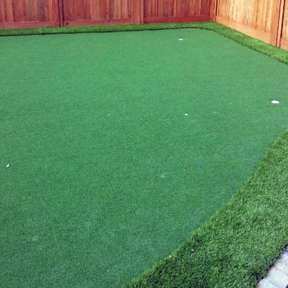 Faux Grass Rock Island, Florida Outdoor Putting Green, Backyard Designs