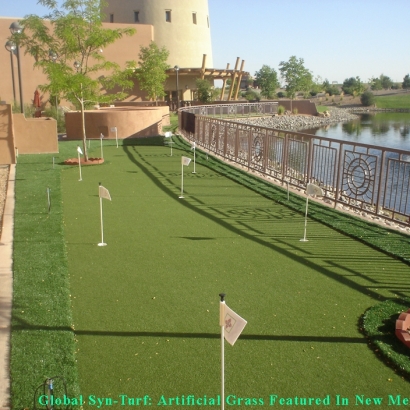 Grass Carpet Brownsville, Florida Best Indoor Putting Green, Backyard Landscape Ideas