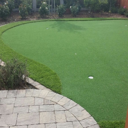 Grass Carpet Hialeah Gardens, Florida Office Putting Green, Backyard Garden Ideas