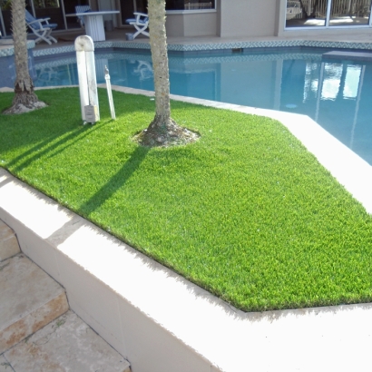 Grass Carpet Ives Estates, Florida Paver Patio, Backyard Makeover