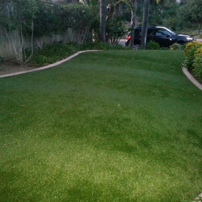 Grass Carpet Micco, Florida Lawn And Garden, Front Yard Ideas