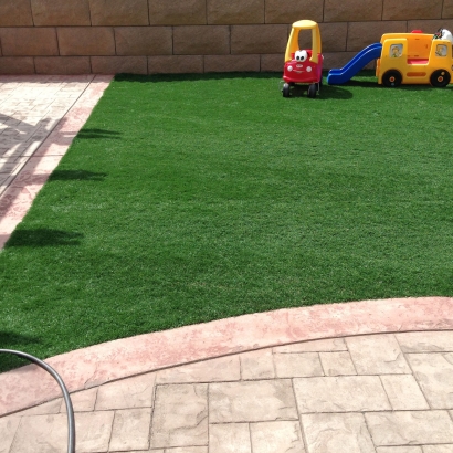 Grass Carpet Port Charlotte, Florida Rooftop, Backyard Landscape Ideas