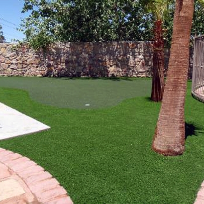 Grass Installation Waverly, Florida How To Build A Putting Green, Backyards