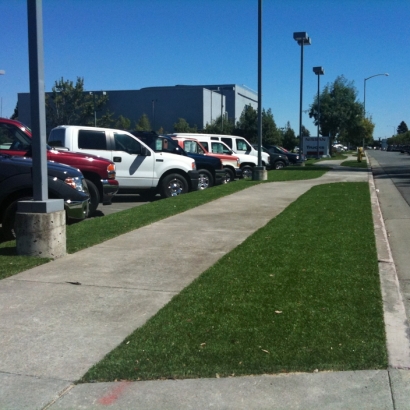 Grass Installation West Park, Florida City Landscape, Commercial Landscape