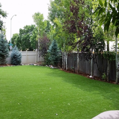 Grass Turf Juno Ridge, Florida Garden Ideas, Backyards