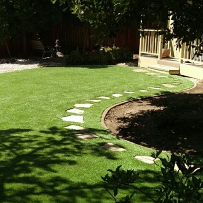 Grass Turf Palm Bay, Florida Backyard Playground, Backyard Makeover