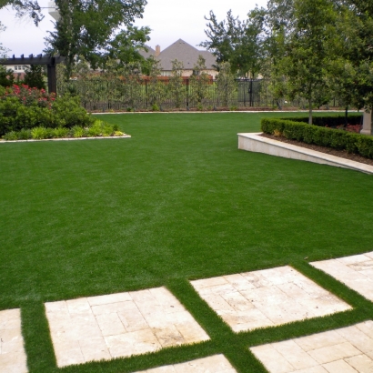 Grass Turf Tamiami, Florida Landscaping Business, Backyard Design