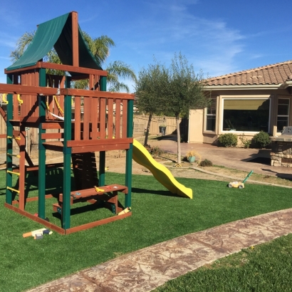 Green Lawn Vineyards, Florida Rooftop, Backyards