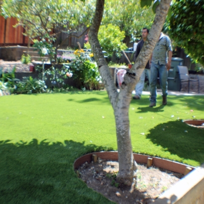 How To Install Artificial Grass Iona, Florida Backyard Deck Ideas, Backyards