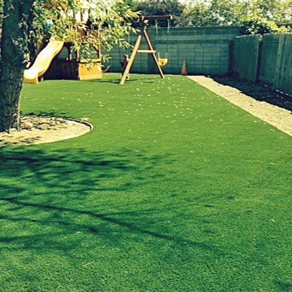 Installing Artificial Grass Fellsmere, Florida Landscape Ideas, Backyard Ideas