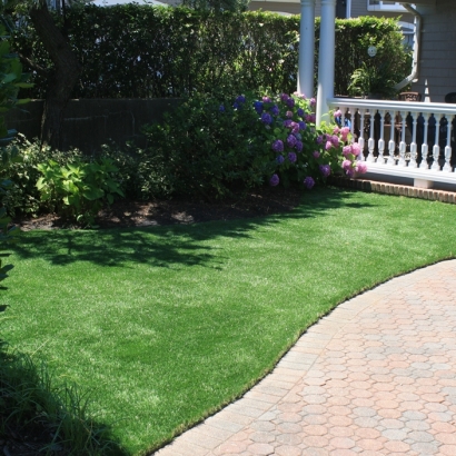 Lawn Services Holden Heights, Florida Artificial Turf For Dogs, Front Yard Landscaping