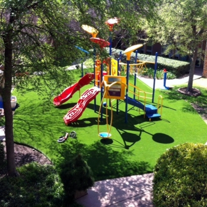 Lawn Services Tedder, Florida Athletic Playground, Commercial Landscape