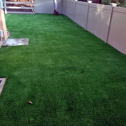 Outdoor Carpet Key Largo, Florida Dog Park, Backyard Makeover