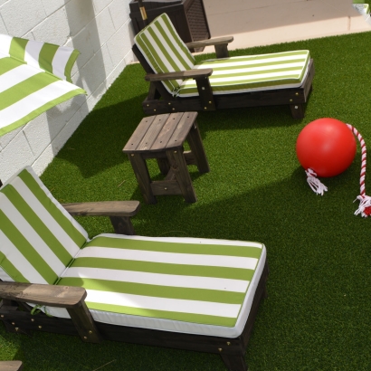 Plastic Grass North Port, Florida Backyard Playground, Backyard Landscaping Ideas