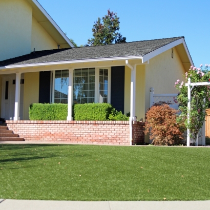 Plastic Grass San Carlos Park, Florida Landscaping, Front Yard