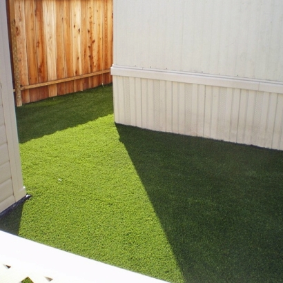 Synthetic Grass Briny Breezes, Florida City Landscape, Backyard Designs