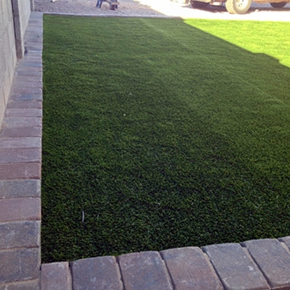Synthetic Grass Cost Canal Point, Florida Pet Grass, Front Yard Landscaping Ideas