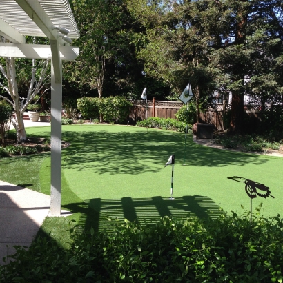 Synthetic Grass Cost Charlotte Park, Florida Landscape Ideas