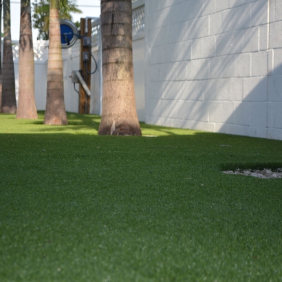 Synthetic Grass Cost Cleveland, Florida Design Ideas, Commercial Landscape