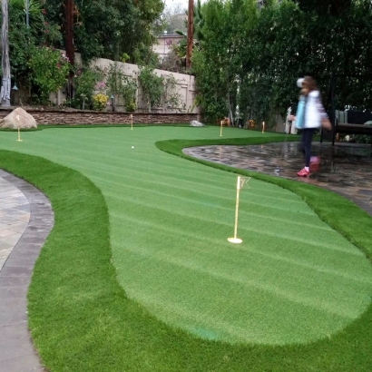 Synthetic Grass Cost Franklin Park, Florida Lawns, Backyard Designs