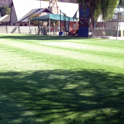 Synthetic Grass Cost Kendall, Florida Stadium, Recreational Areas