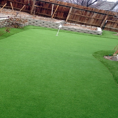 Synthetic Grass Cost LaBelle, Florida Lawns, Small Backyard Ideas