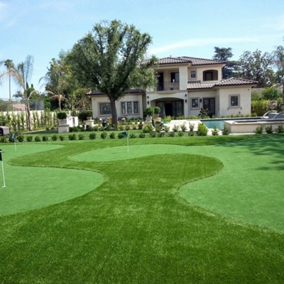 Synthetic Grass Cost Lazy Lake, Florida Landscape Ideas, Small Front Yard Landscaping